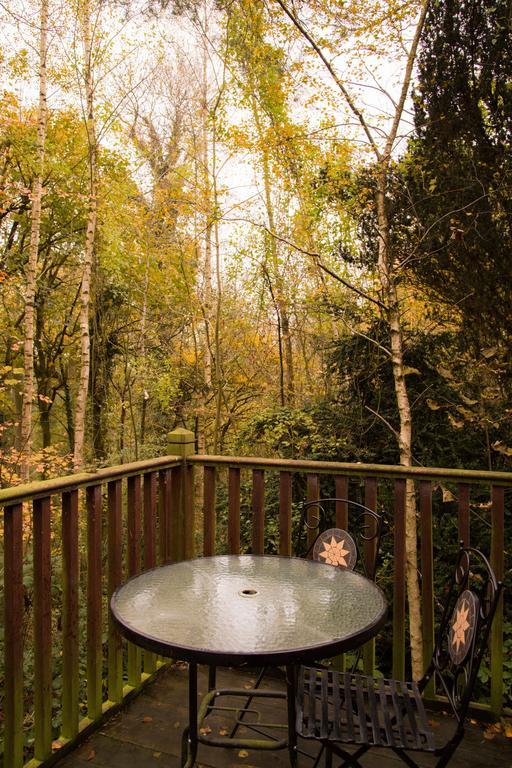 Pinetum Lodge Gloucester Oda fotoğraf